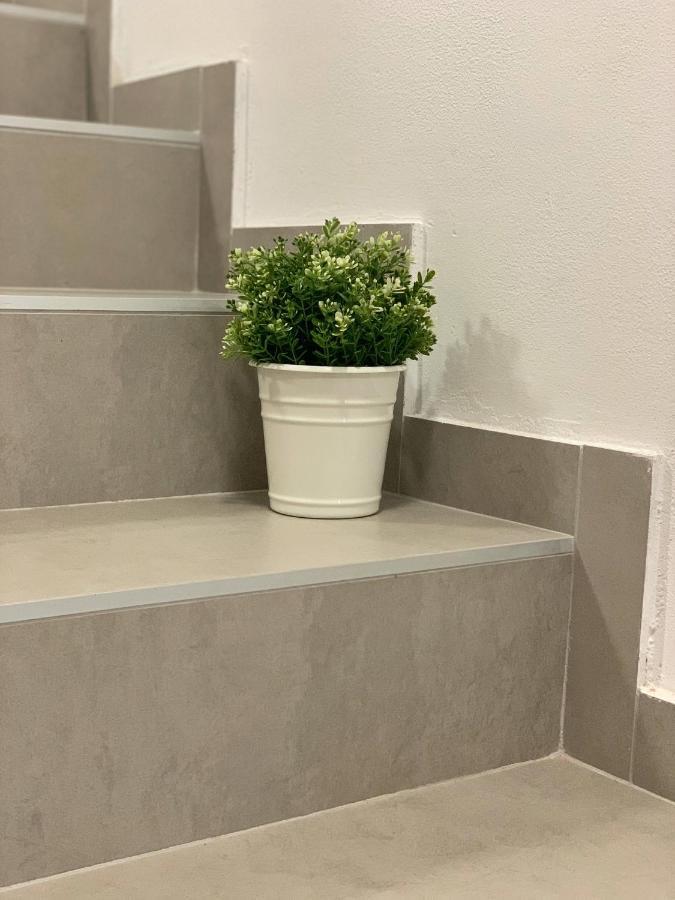 Apartments Dream In Arena 2 Pula Center Free Parking المظهر الخارجي الصورة